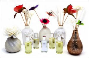 Tránh nhà bị nồm bạn cần làm những điều gì?