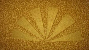 Trang trí nhà đẹp mê với sơn gai tường