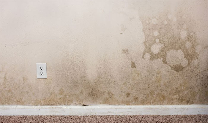 Cách chống thấm chân tường nhà