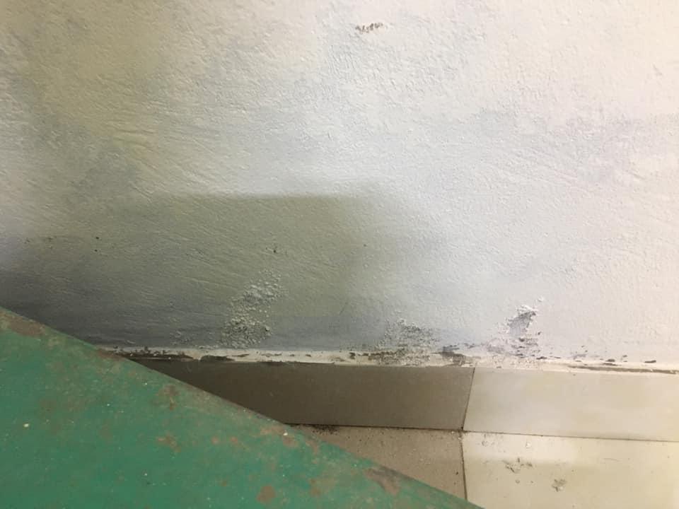 Muối hóa chân tường