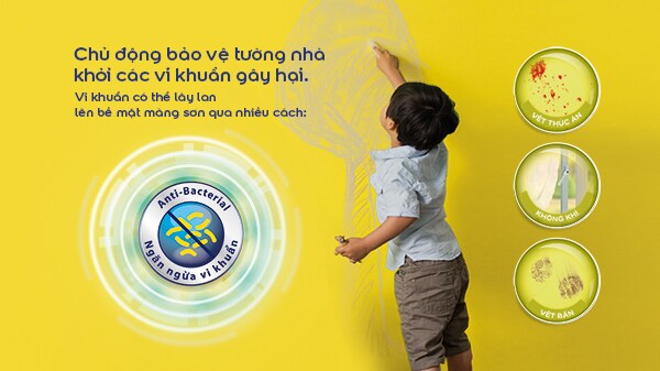 DULUX EASYCLEAN CHỐNG BÁM BẨN KHÁNG VIRUS | Dulux Việt Nam