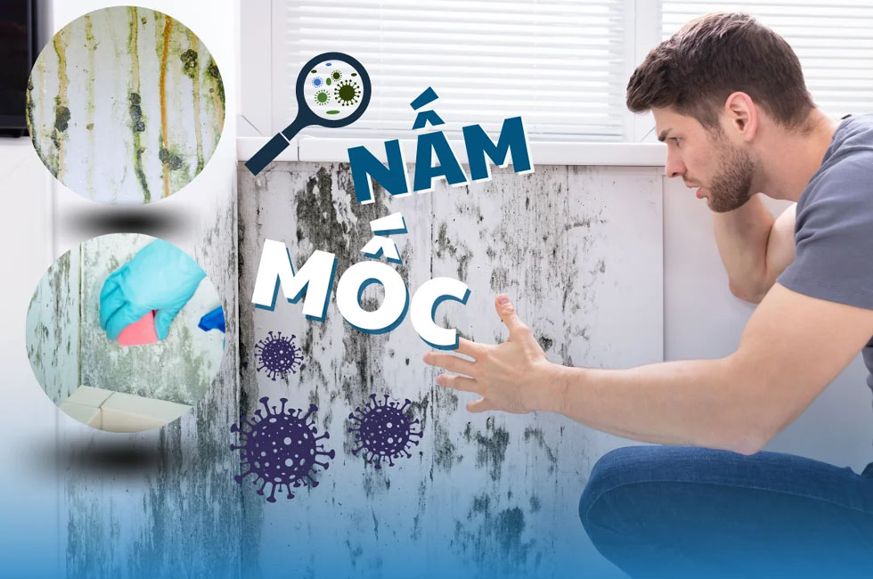 Dùng sơn gì sau hỏa hoạn