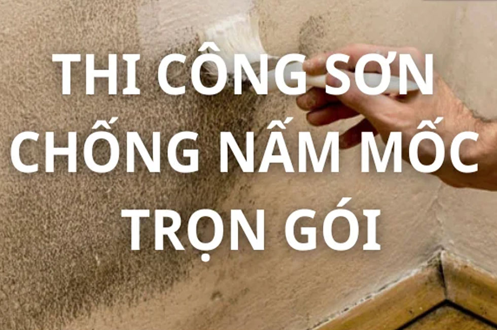 Bảng báo giá thi công sơn chống nấm mốc trọn gói tại Thosonnhadep(THỢ SƠN HÀ NỘI)