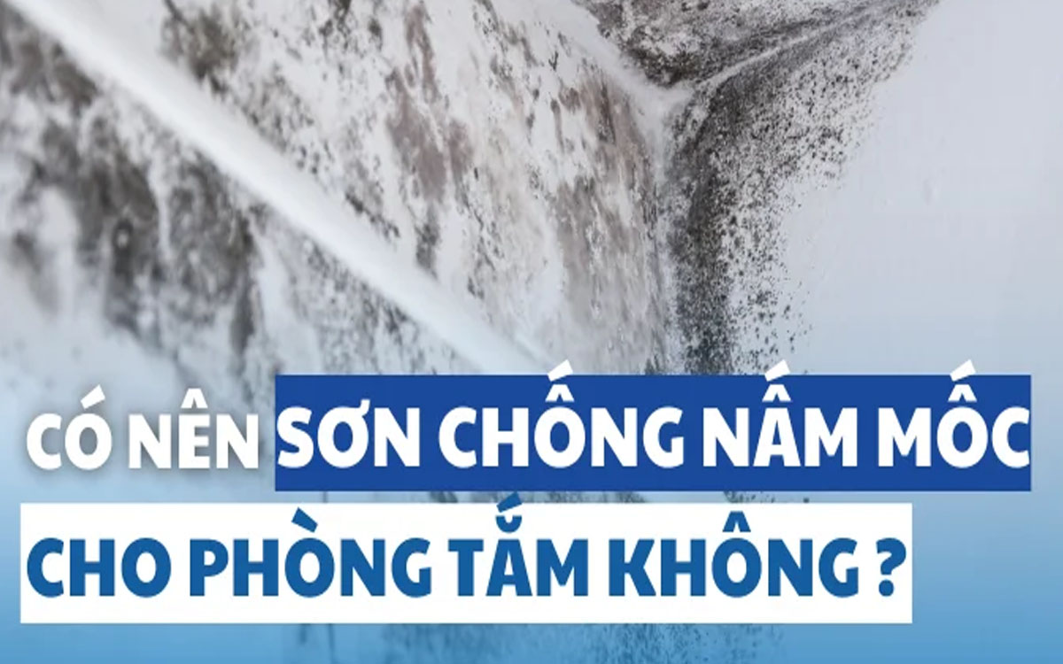 Có nên sơn chống nấm mốc cho phòng tắm không ?