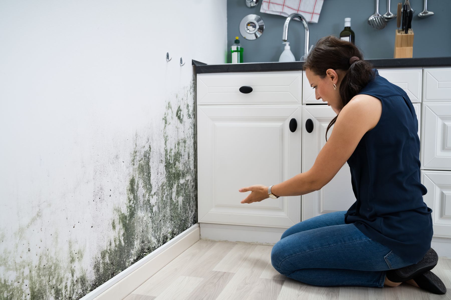Tại sao nên sử dụng sơn chống nấm mốc cho nhà bếp