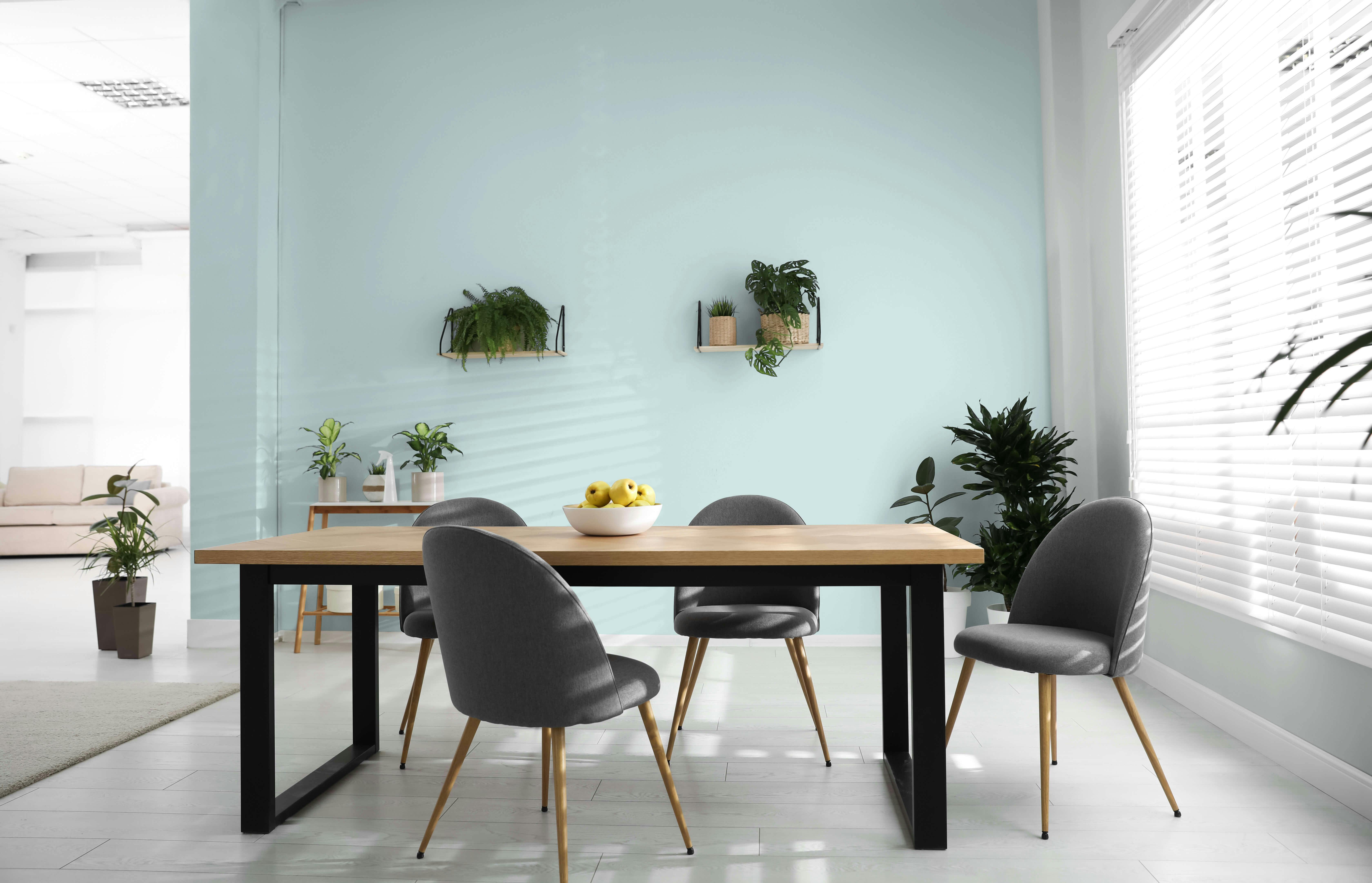 Sự kết hợp sơn màu xanh ngọc: Các kiểu phối màu cho tường nội thất