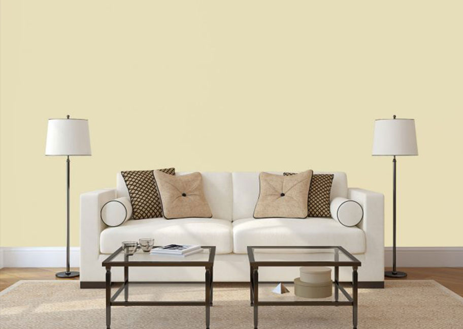 Top những màu sơn sáng đẹp nhất