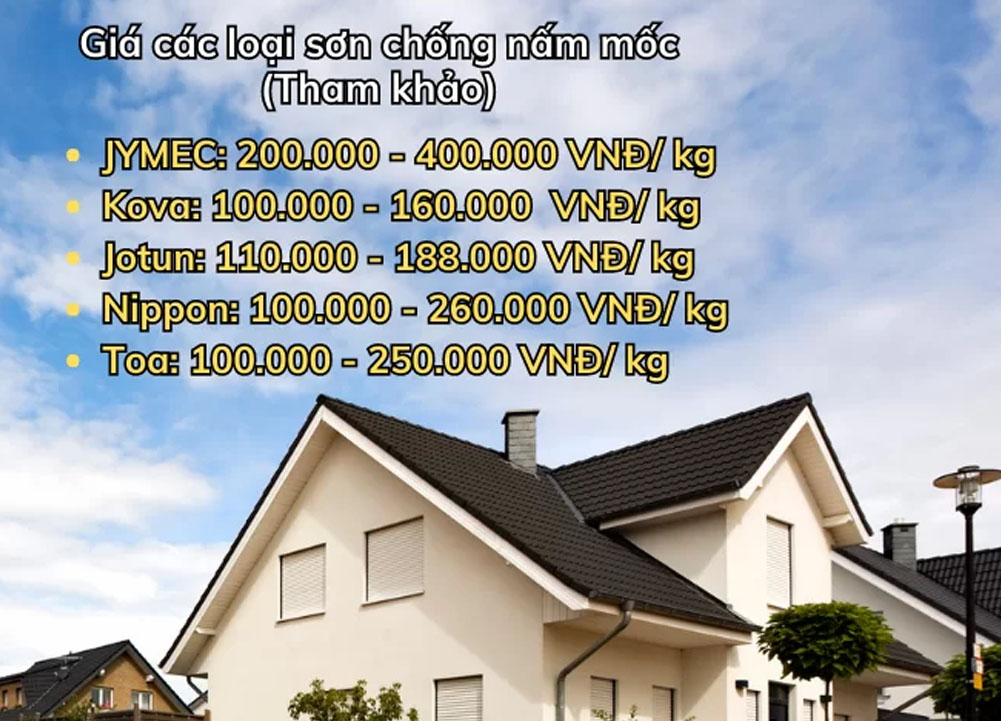 Các loại sơn nước chống rêu mốc phổ biến hiện nay