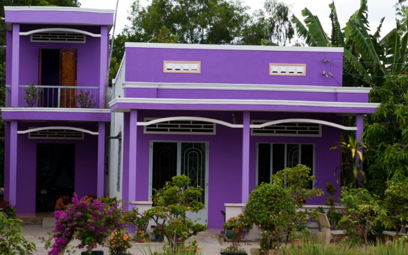 Khám phá vẻ đẹp của sơn nhà màu tím khoai môn – Sự lựa chọn cho gia chủ yêu sự độc đáo