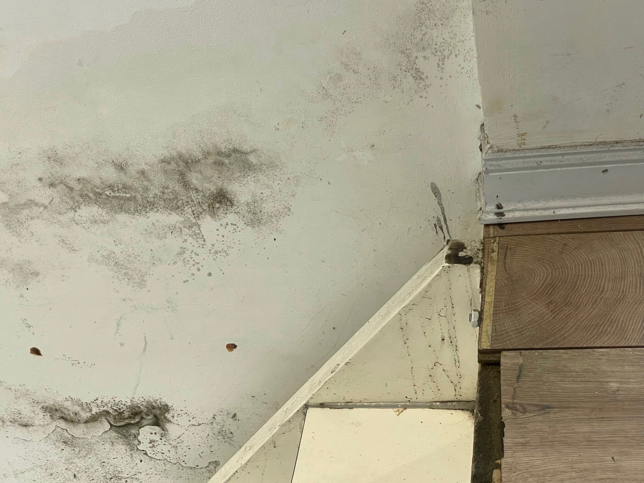 Tổng hợp lỗi thường gặp khi sơn nhà thường gặp – góc nhìn từ thợ sơn chuyên nghiệp