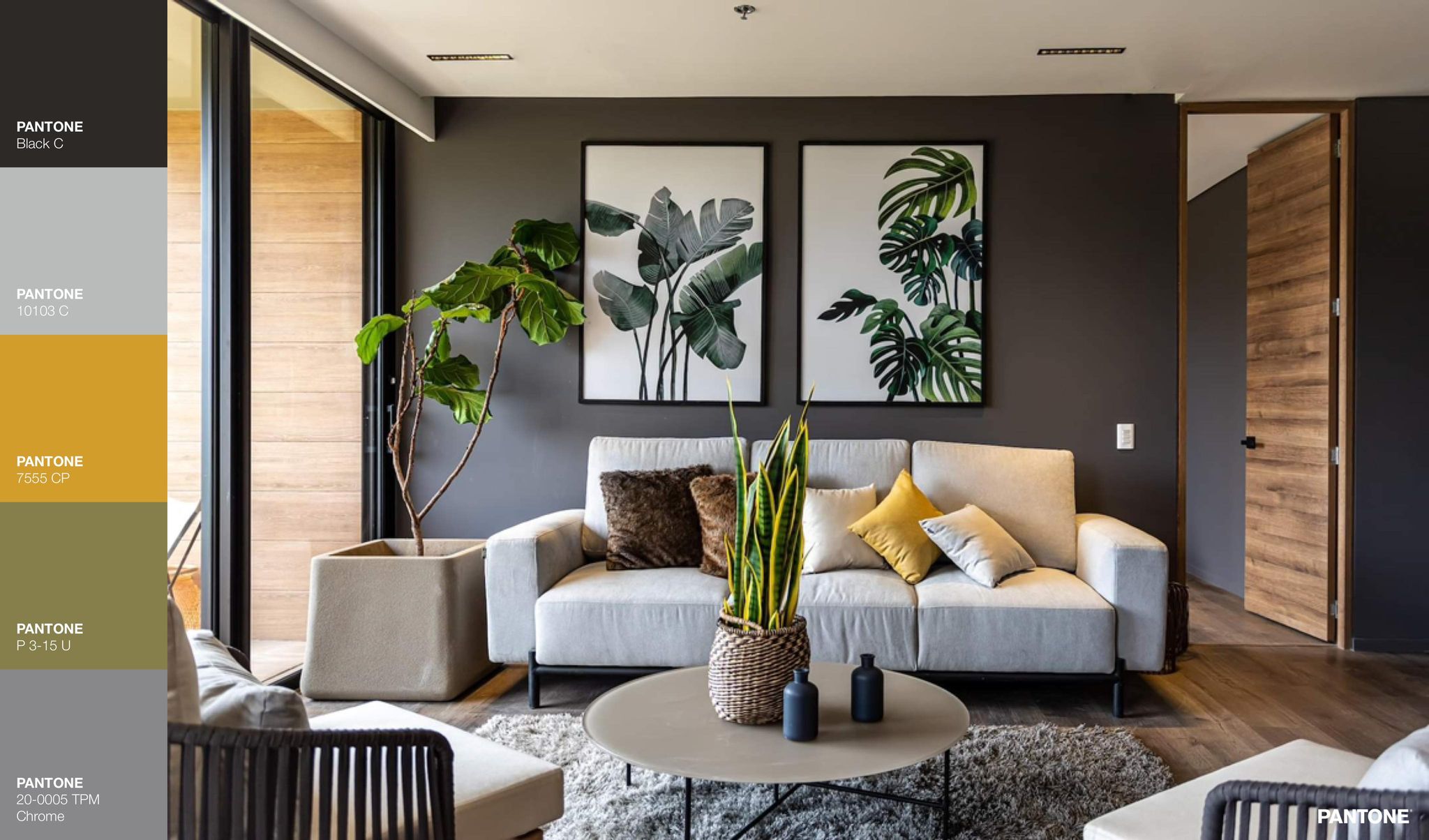 Tuổi Thìn sơn nhà màu gì năm 2026