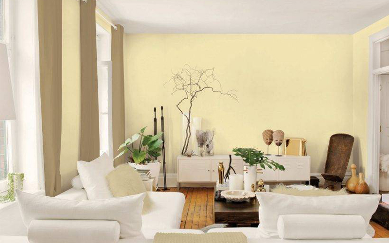 Màu sơn cho tuổi Ngọ năm 2026